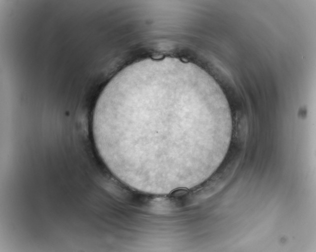 X0000103140562200809192008