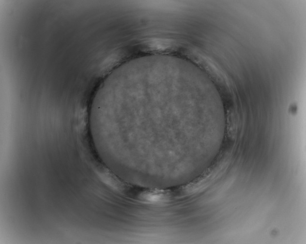 X0000103140563200809192008