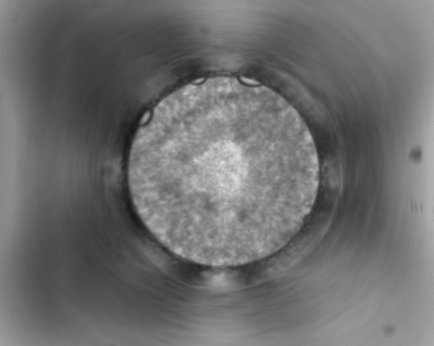 X0000103140564200809192008