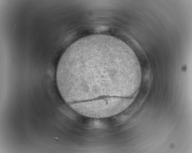 X0000103140565200809192008