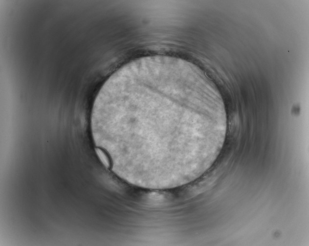 X0000103140566200809192008