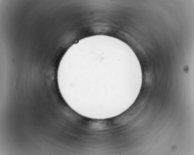 X0000103140567200809192008