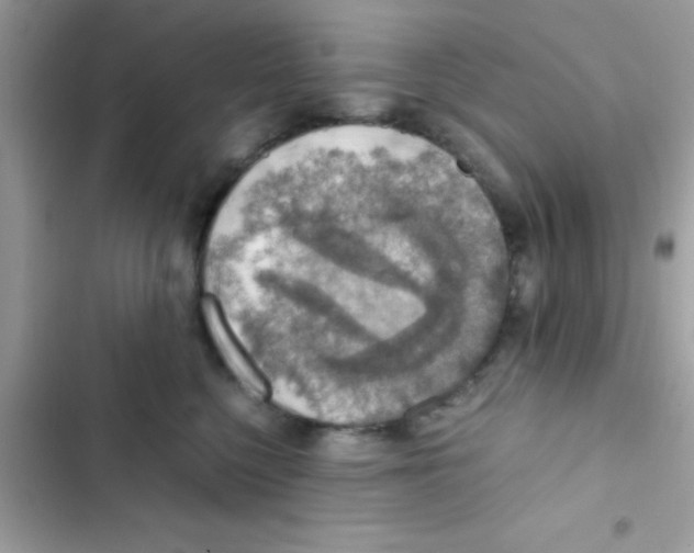 X0000103140568200809192008