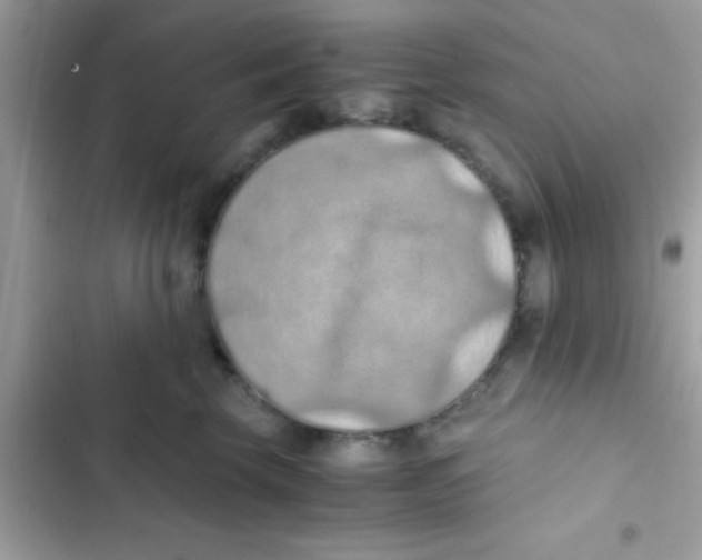 X0000103140569200809192008