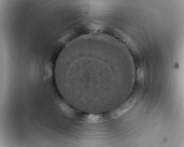 X0000103140570200809192008