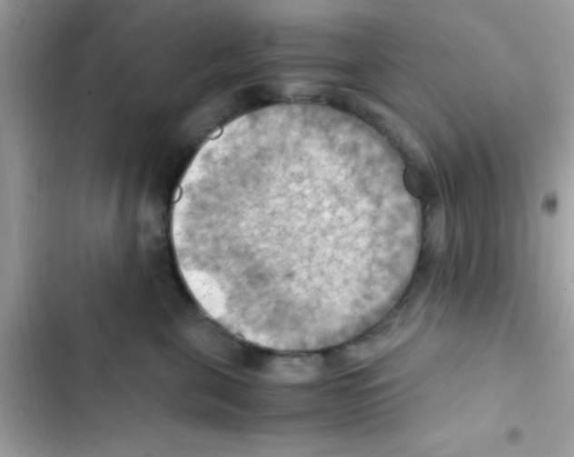 X0000103140571200809192008