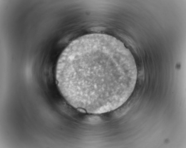 X0000103140572200809192008