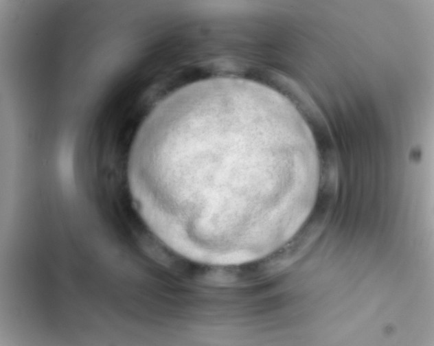 X0000103140573200809192008