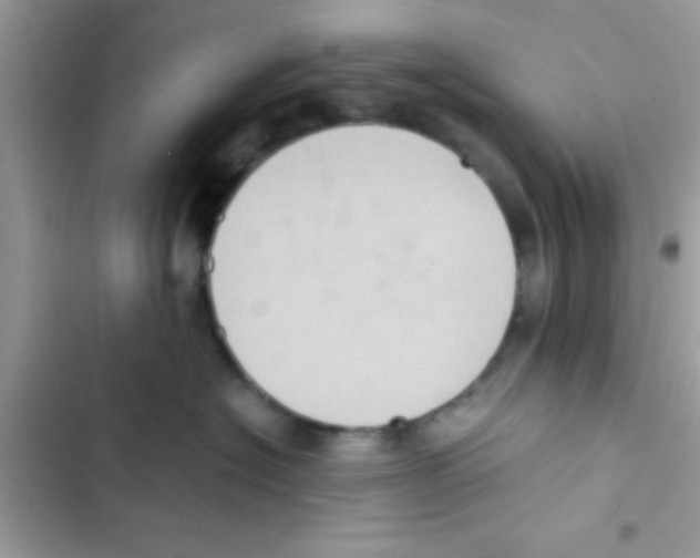 X0000103140574200809192008