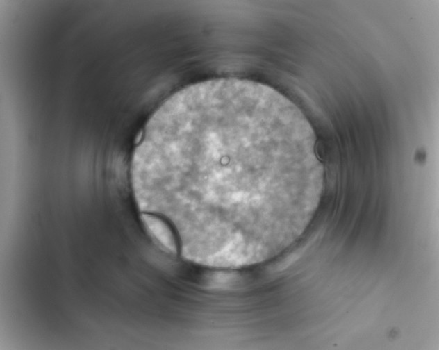 X0000103140575200809192008