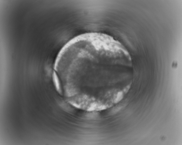 X0000103140576200809192008