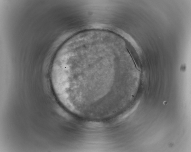 X0000103140577200809192007