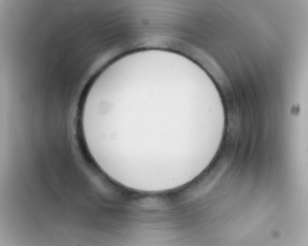 X0000103140578200809192007