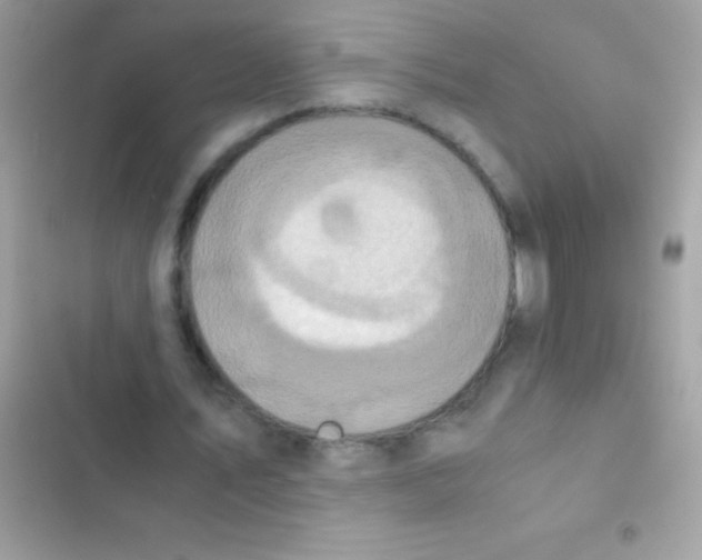 X0000103140579200809192007