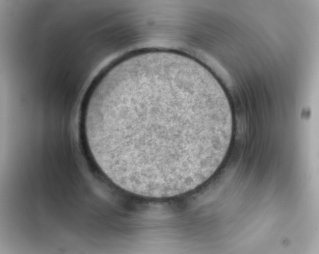 X0000103140580200809192007