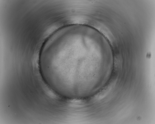 X0000103140581200809192007