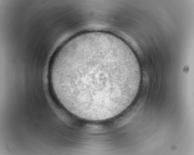 X0000103140582200809192007