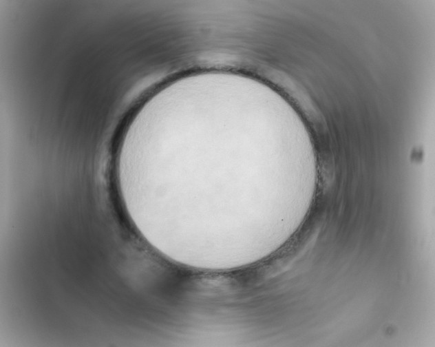 X0000103140583200809192007