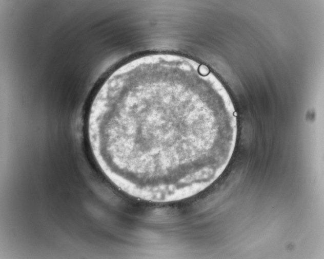 X0000103140584200809192007