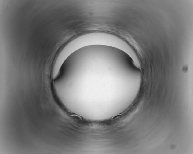 X0000103140585200809192007