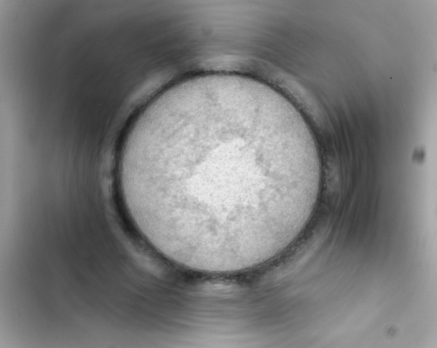 X0000103140586200809192007