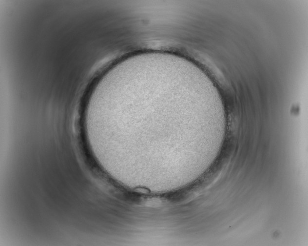 X0000103140587200809192007