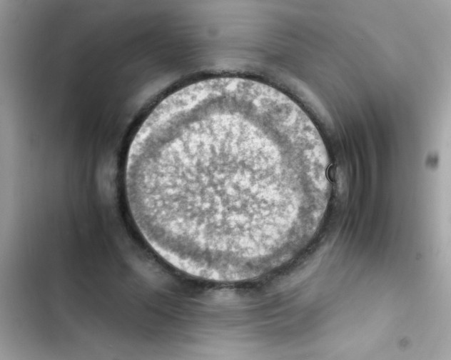 X0000103140588200809192007