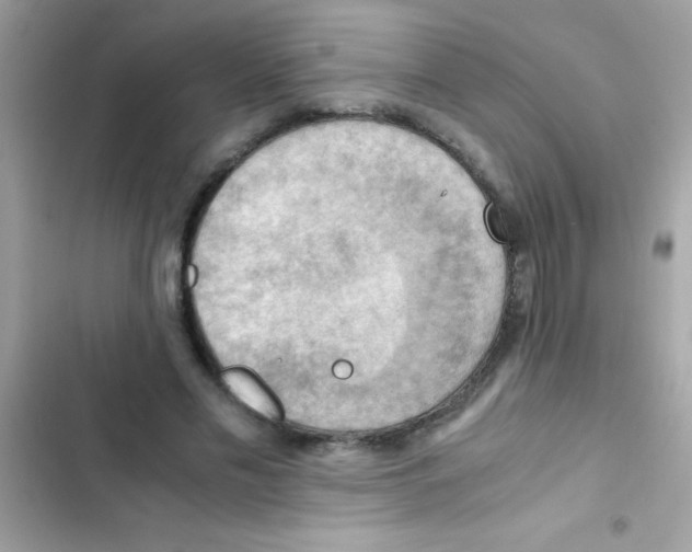 X0000103140589200809192007