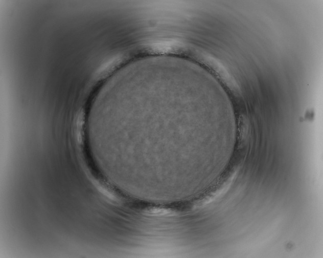 X0000103140590200809192007