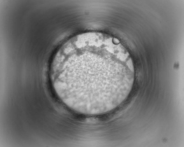 X0000103140591200809192007