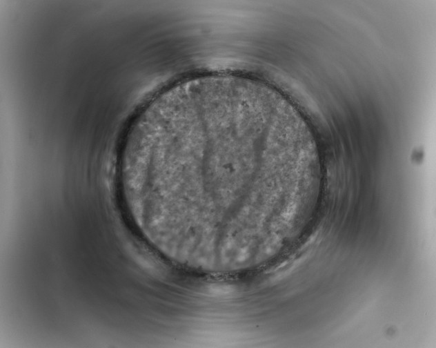 X0000103140592200809192007