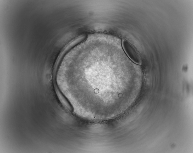 X0000103140593200809192007