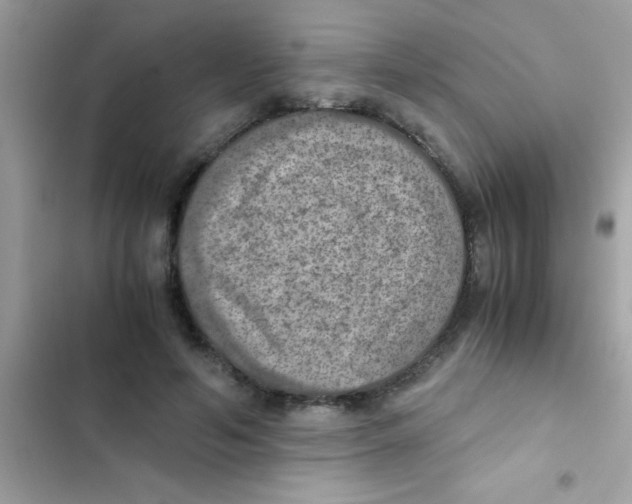 X0000103140594200809192007