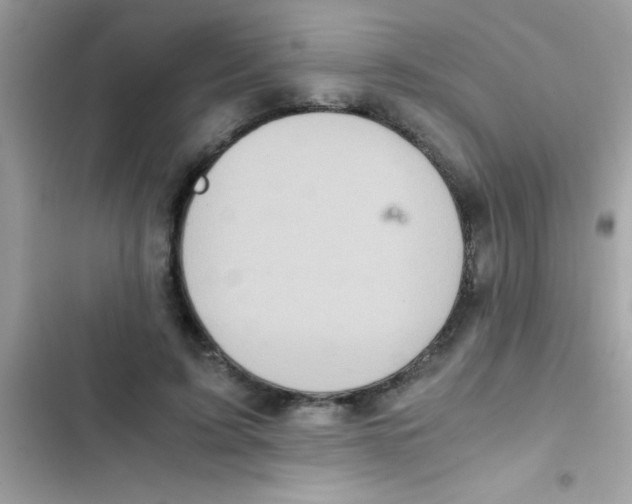 X0000103140595200809192007