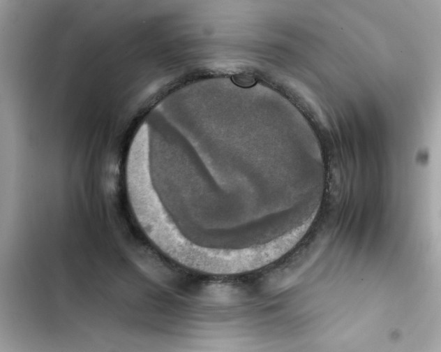 X0000103140596200809192007