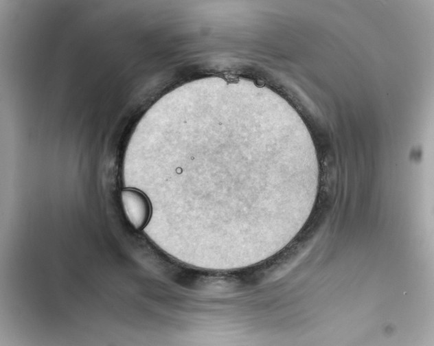 X0000103140597200809192007