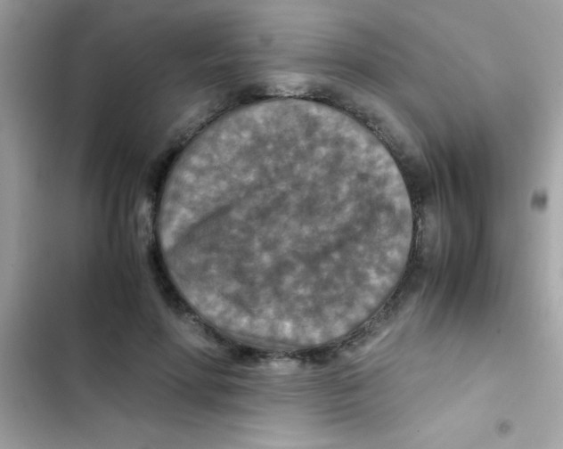 X0000103140598200809192007