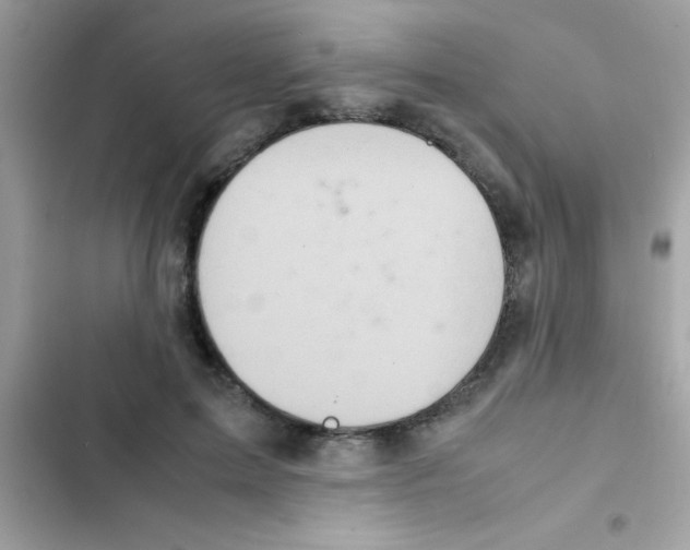 X0000103140599200809192007