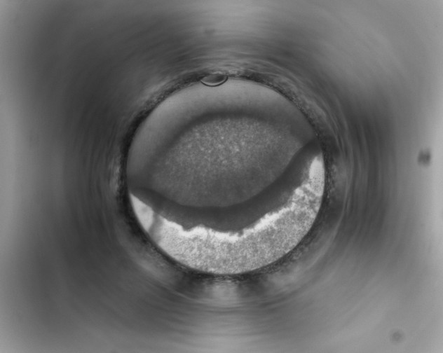 X0000103140600200809192007