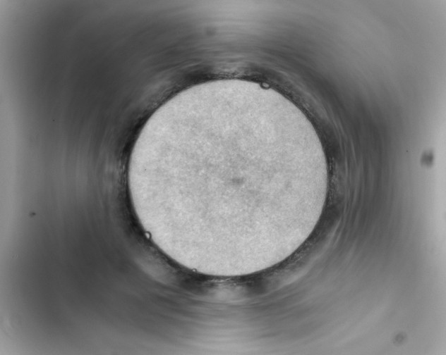 X0000103140601200809192007