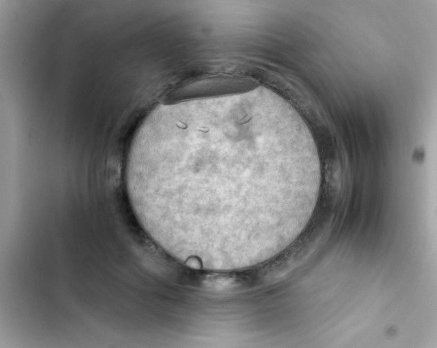 X0000103140602200809192007