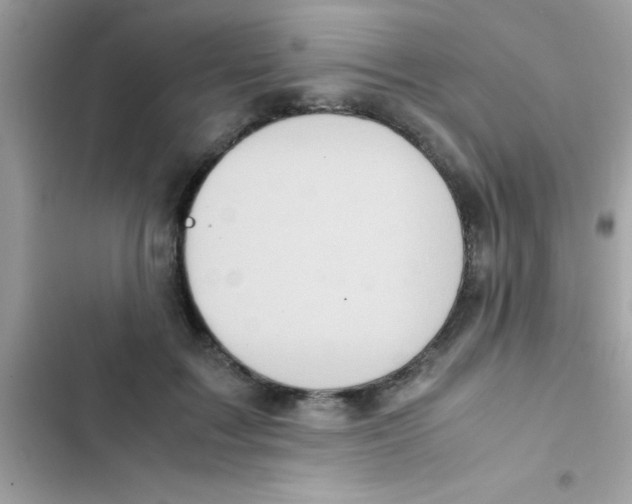 X0000103140603200809192007