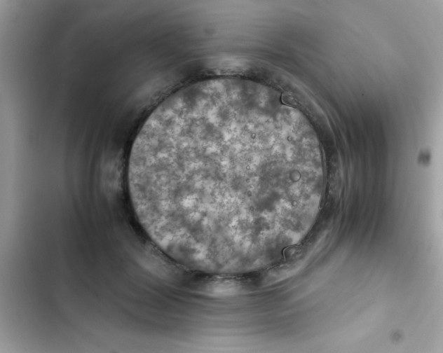 X0000103140604200809192007