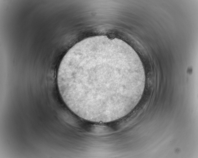 X0000103140605200809192007