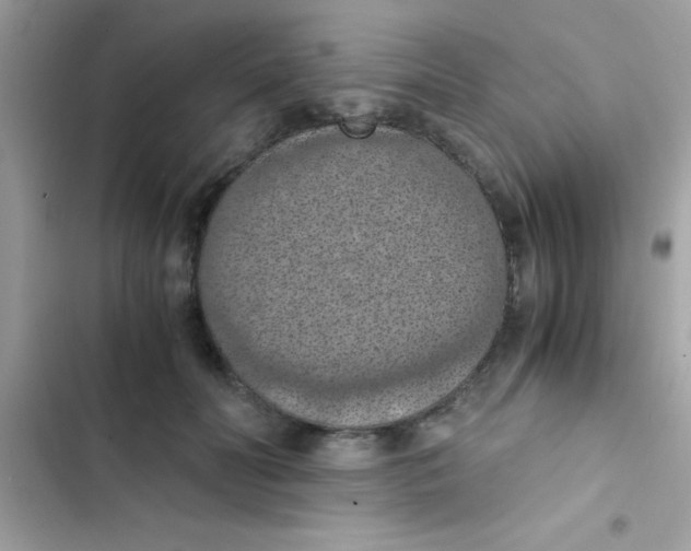 X0000103140606200809192007