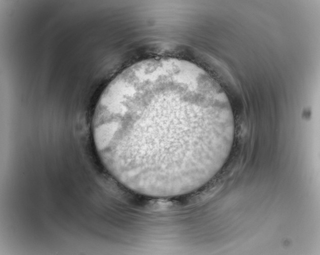 X0000103140607200809192007