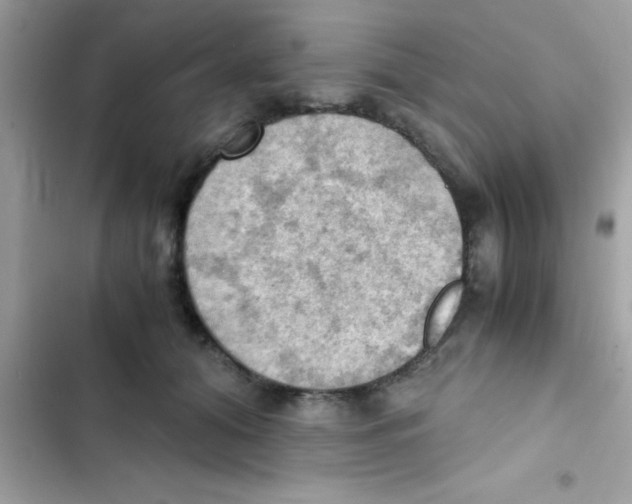 X0000103140608200809192007