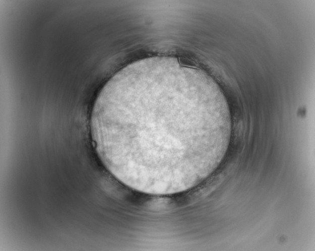 X0000103140609200809192007