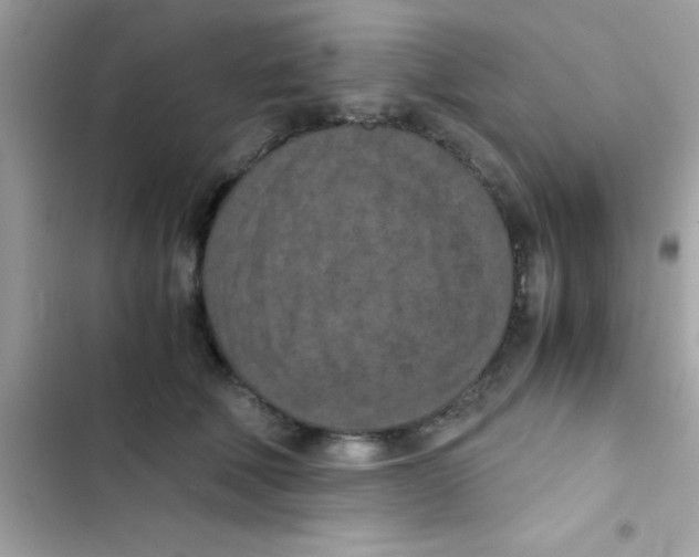 X0000103140610200809192007