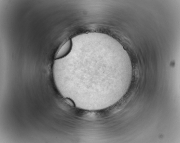 X0000103140611200809192007